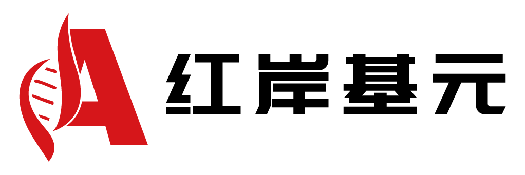 红岸基元